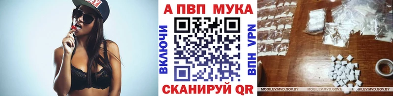 Альфа ПВП СК Гусев