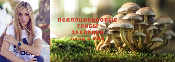 мяу мяу мука Богородск