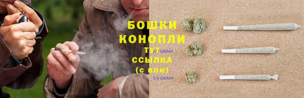 дурь Богородицк