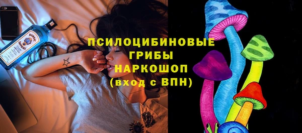 дурь Богородицк