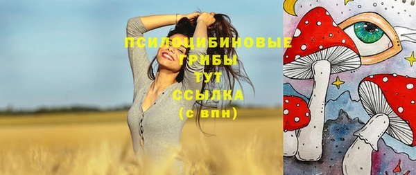 дурь Богородицк