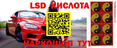 крисы Волгодонск