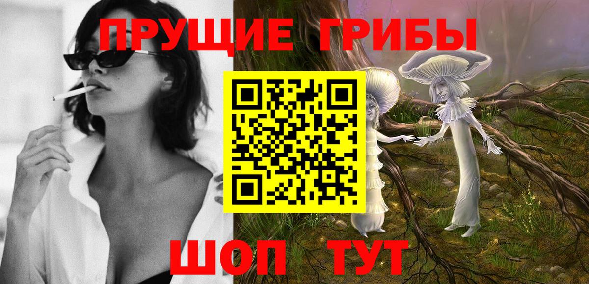 Галлюциногенные грибы Psilocybine cubensis Гусев