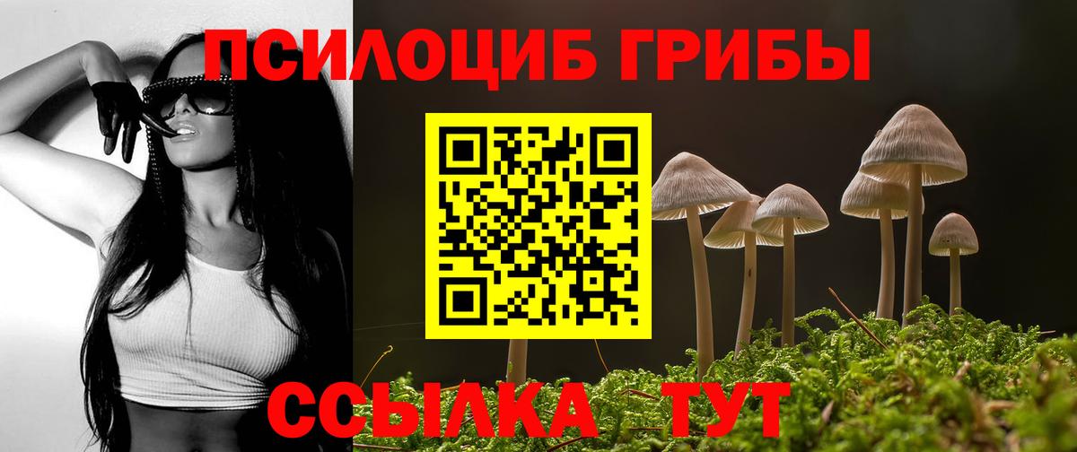 Псилоцибиновые грибы MAGIC MUSHROOMS Гусев