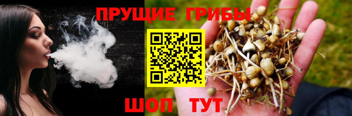 Галлюциногенные грибы Magic Shrooms  Галлюциногенные грибы GOLDEN TEACHER  Вход с VPN  Гусев 