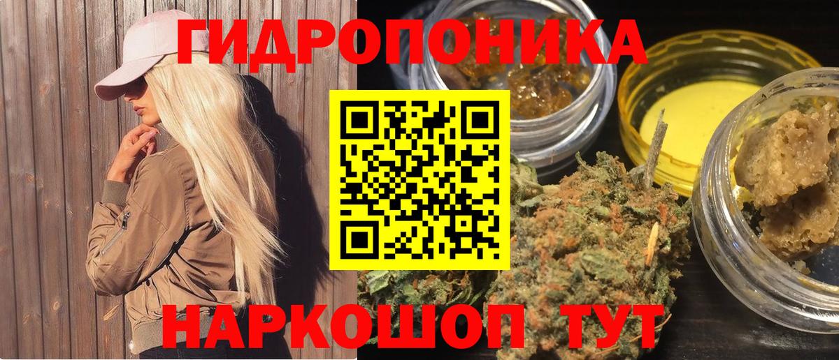 Бошки марихуана OG Kush Гусев